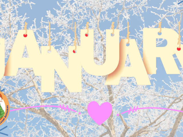 17 Spectacular January Activities