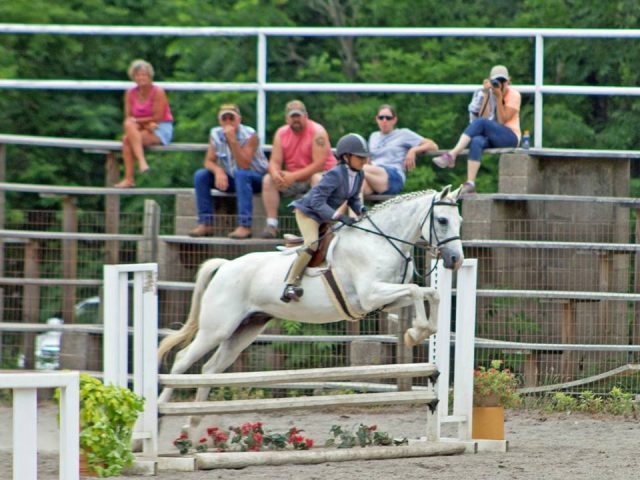 Frosty Oak Stables- 5 Day Camp (1)