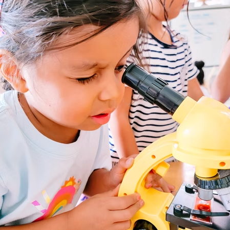 Mad Science Camp- Bluebird Atelier