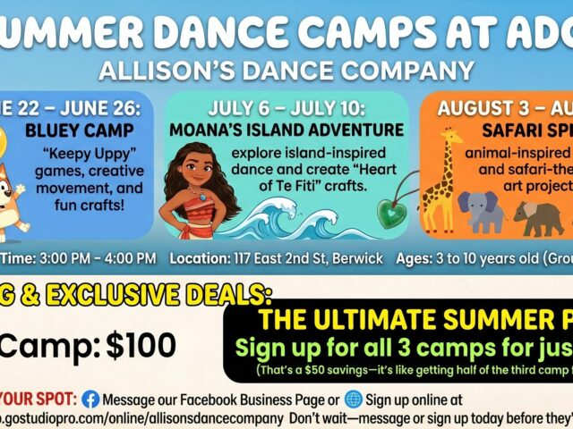 Allison's Dance Company- Bluey Camp