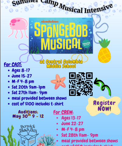 Berwick Black Box- Musical Theatre Summer Camp