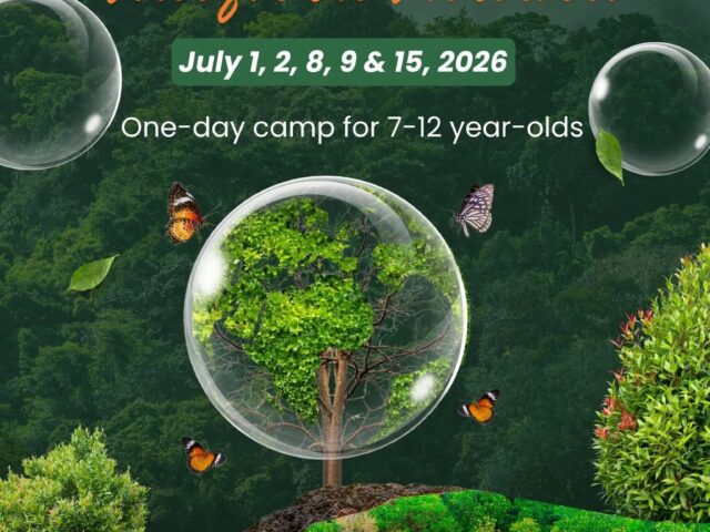 Camp Chillisquaque- Vernal School @ Montour Preserve