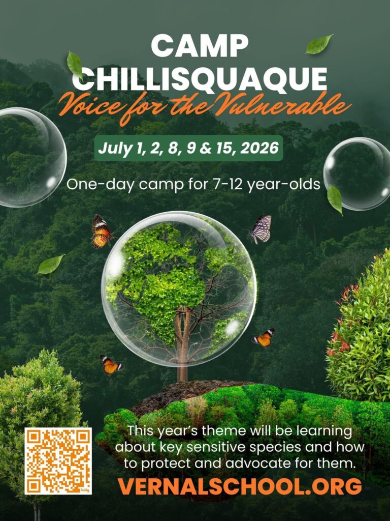 Camp Chillisquaque- Vernal School @ Montour Preserve