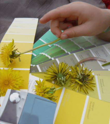 River Valley Nature School: Embodied Art