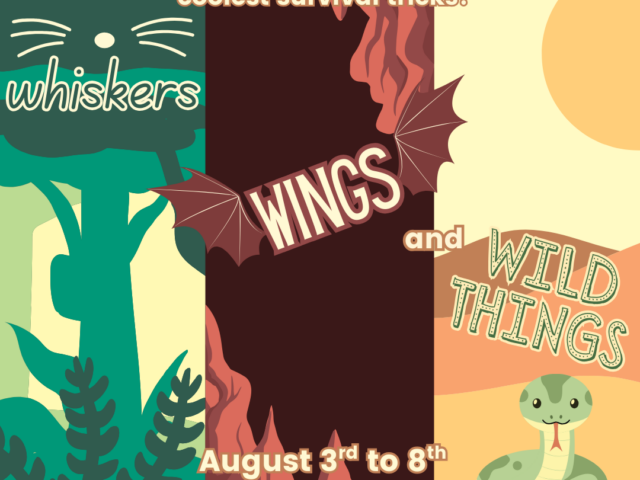 Whiskers, Wings & Wild Things- Lewisburg Children's Museum