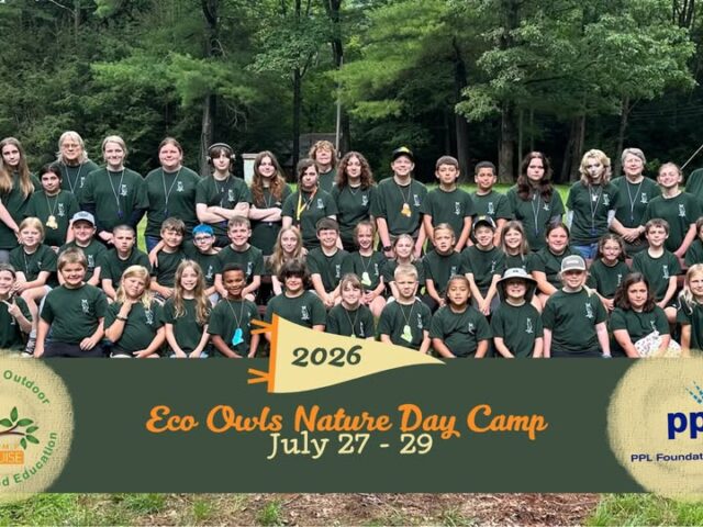 Eco Owls Day Camp