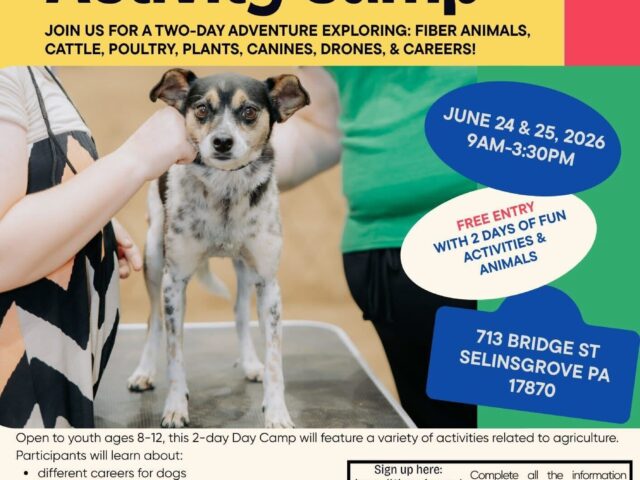 Agriculture Adventures Activity Camp