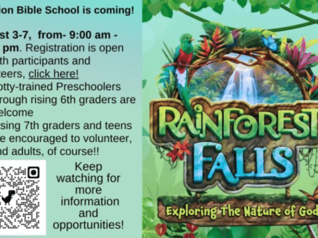 Rainforest Falls VBS- St. Columba