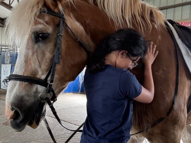Horseback Riding Camp-The RED Farm