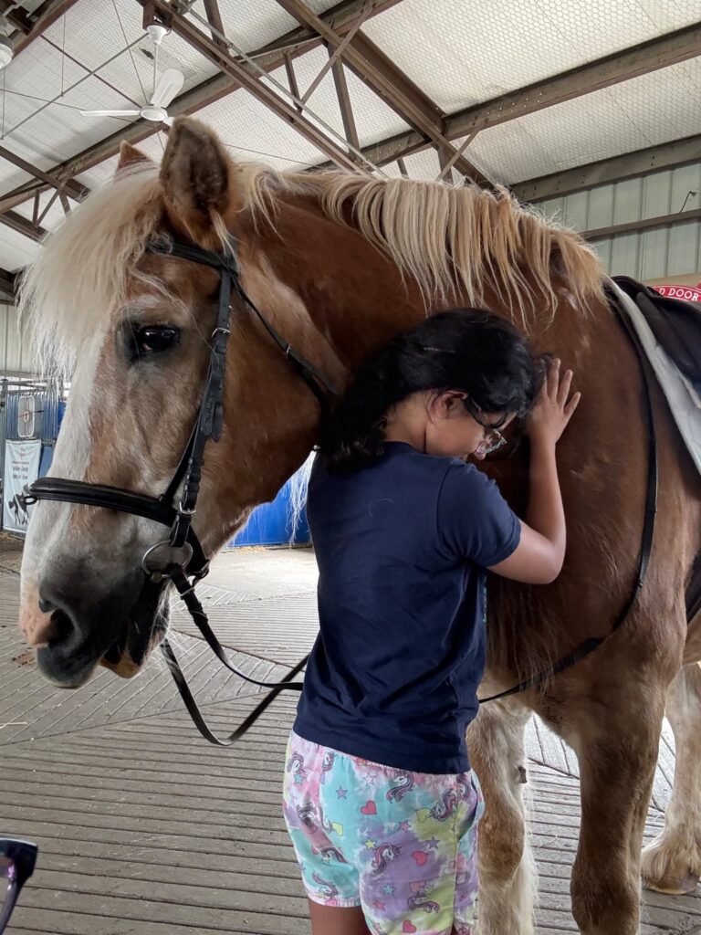 Horseback Riding Camp-The RED Farm